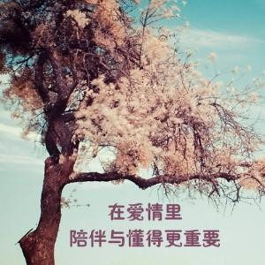 你是我的命運