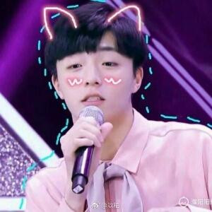 尴尬的森林绿猫