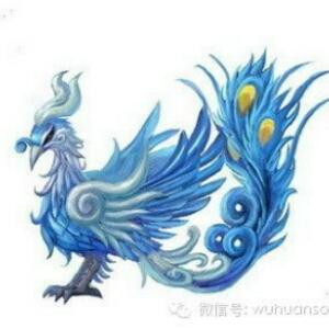 国外的白菜