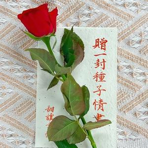 鍫墨楼