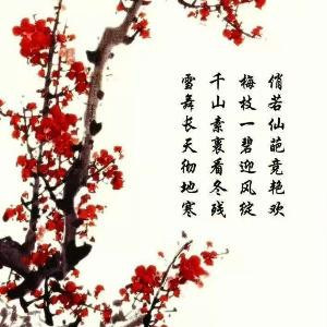 风起