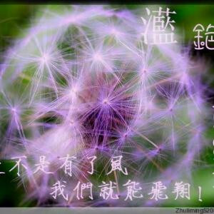 踽踽独行