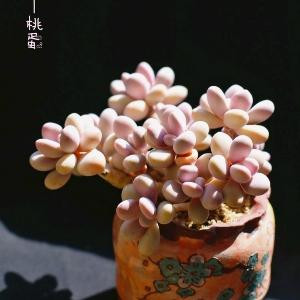 家有读书郎