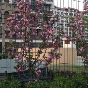 水晶项链