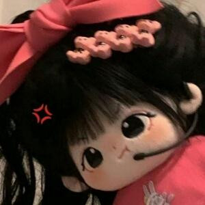 地球小狗不会飞