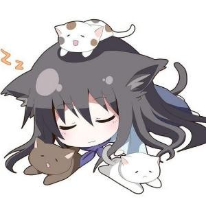 灵力猫