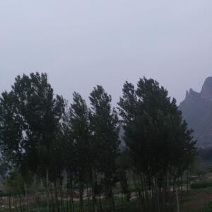 追梦