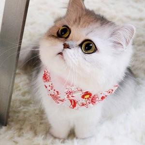 陌沫漠