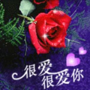 眷恋
