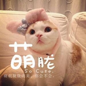爱你一生