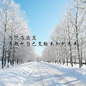 雪山飞狐