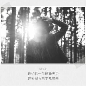 木槿