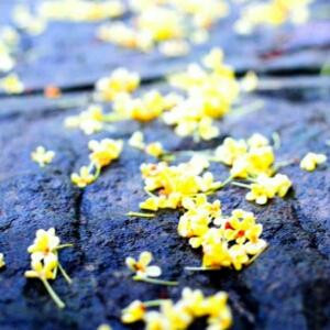 小时光