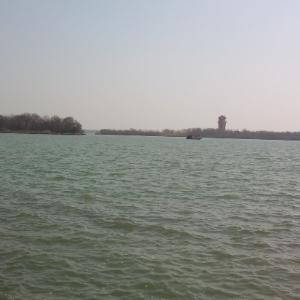 午后阳光