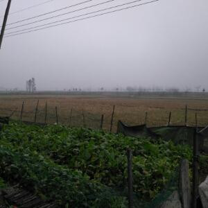 书中友
