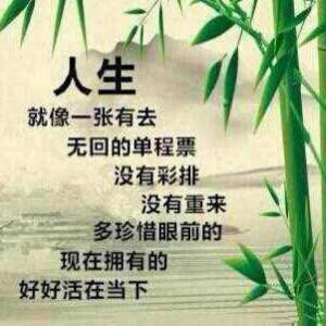 秀琴