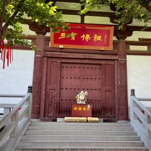 大胖梅