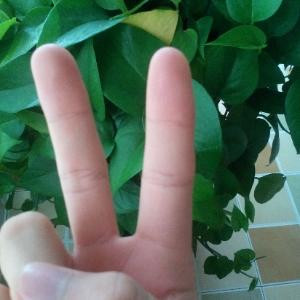 发电站