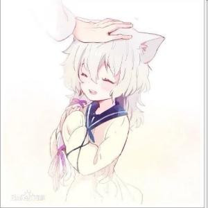 兽兽
