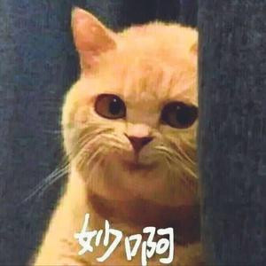 Triste_夏茵