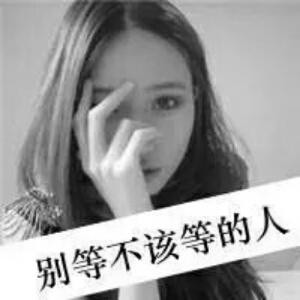 笨蛋