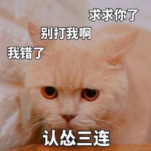 胖胖der呀