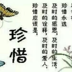 张玉龙