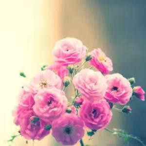 张晓涛