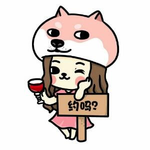 小灰灰