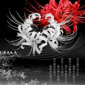 彼岸花