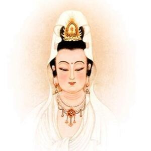 一纤纤63