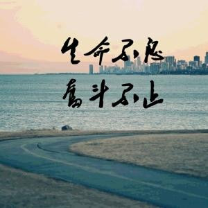 豹刺梅