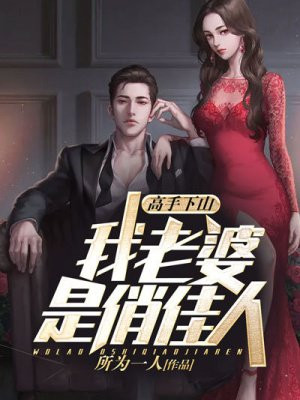 高手下山：我老婆是俏佳人