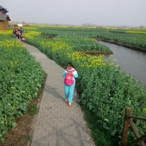 让心说话说话说