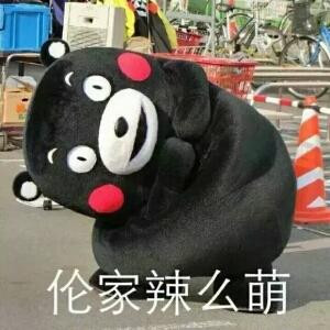 CL千里雪