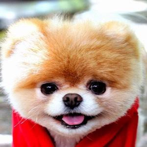 黎明前 黃昏后