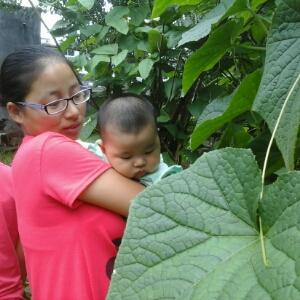 桂花香千里