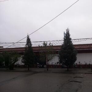 彼岸花开一千年