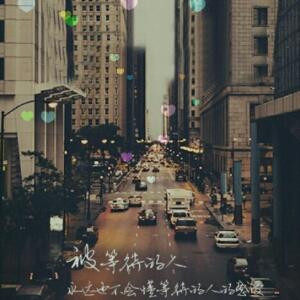 枯叶蝶的泪