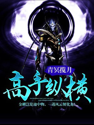 高手纵横