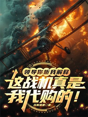 领导你听我解释，这战机真是我代购的！