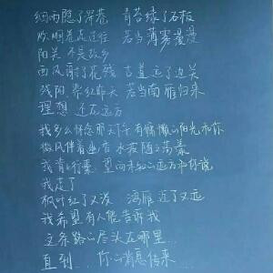 化身孤岛的鲸