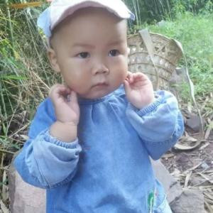 烦死了