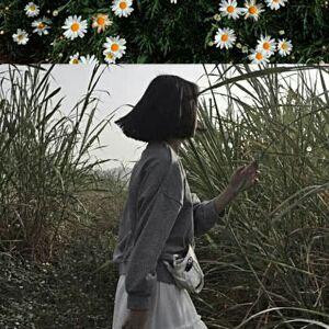 流星明月