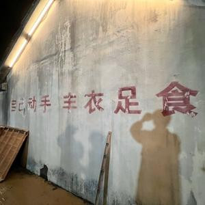 不瘦到90不改名的猪?