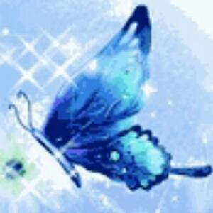 樱花飘落的季节