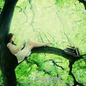 清澄渊源