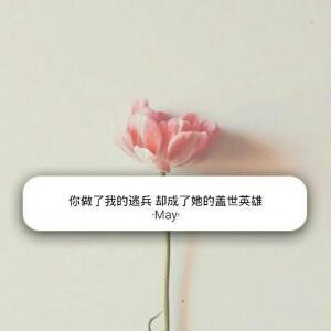 婷宝