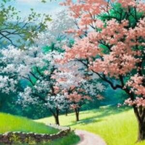 风笛梓韵