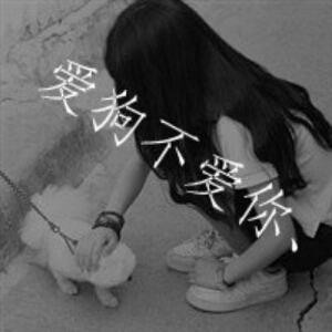 累觉不爱